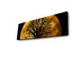 Wallity Lienzo Decorativo Iluminado con LEDs 30x90 cm Multicolor